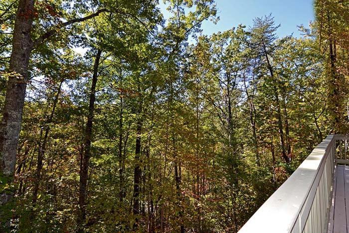 Villa Smoky Mountain Dream Gatlinburg Exterior foto